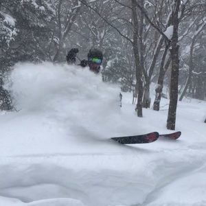 Meet your Posher, Jake